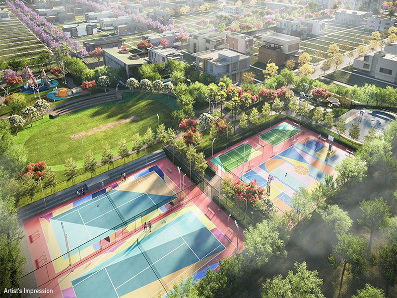 ATS Province D Olympia Plots